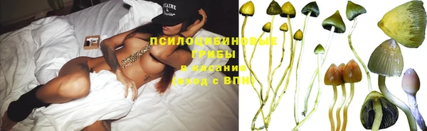 ПСИЛОЦИБИНОВЫЕ ГРИБЫ Белокуриха