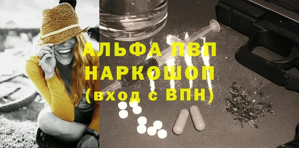 ПСИЛОЦИБИНОВЫЕ ГРИБЫ Белокуриха
