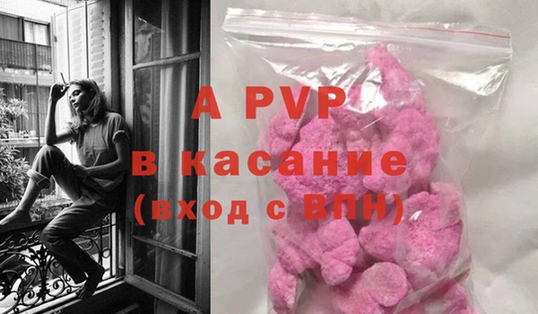 ПСИЛОЦИБИНОВЫЕ ГРИБЫ Белокуриха