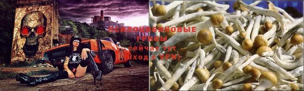 марихуана Беломорск