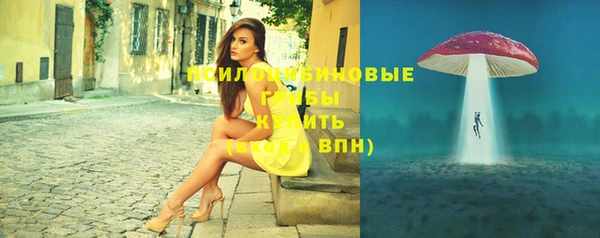 ПСИЛОЦИБИНОВЫЕ ГРИБЫ Белокуриха