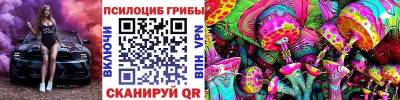 блэк спрут зеркало  Топки  Псилоцибиновые грибы Psilocybe  закладка 